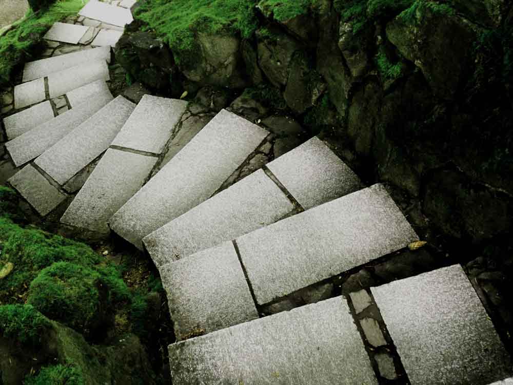 Path 3